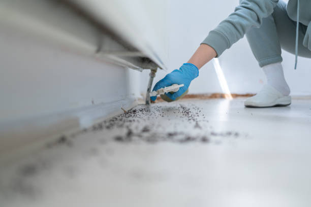 Professional Pest Control in Crystal Lake, FL